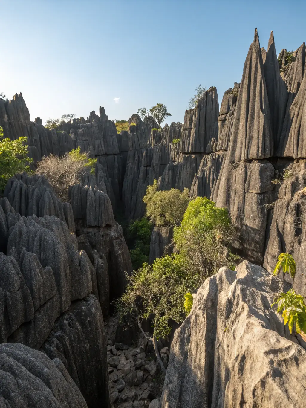 An aerial view of the Tsingy de Bemaraha National Park, showcasing the jagged limestone formations and diverse ecosystems, emphasizing the adventurous and unique geological features of the tour.