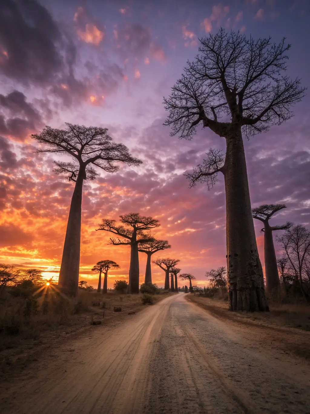 A stunning photograph of the Avenue of the Baobabs at sunset, with the giant trees silhouetted against the colorful sky, highlighting the breathtaking landscapes included in the tour.